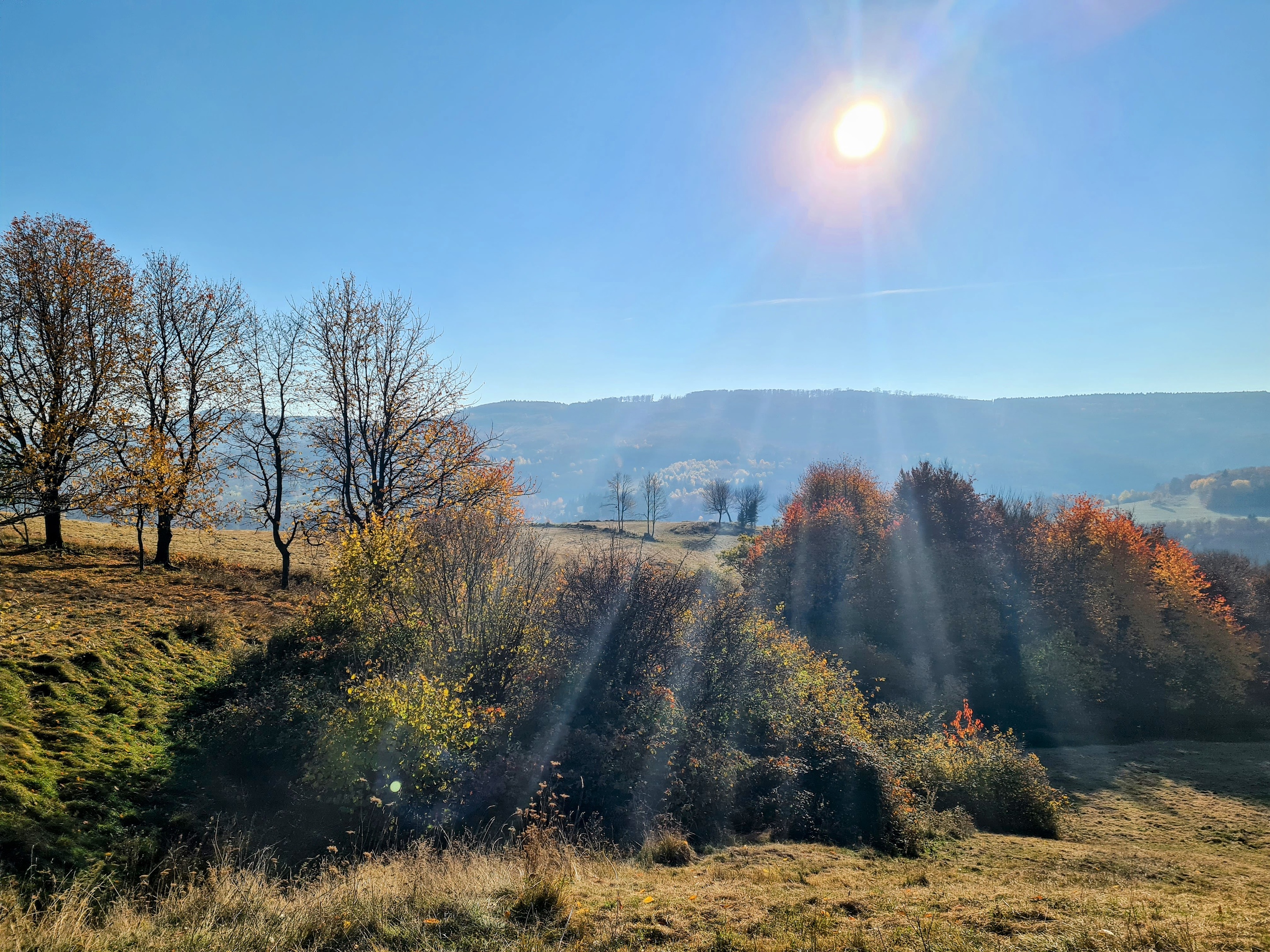 Budiná - lúky (výhľad)